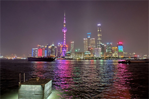 Shanghai's most charming flower season： six flower markets make you fall in love with spring!